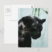 Carte Postale Personnaliser (Devant / Derrière)