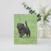 Carte Postale Personnaliser (Debout devant)