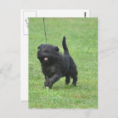 Carte Postale Personnaliser (Devant / Derrière)