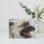 Carte Postale Personnaliser (Debout devant)