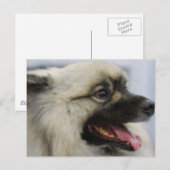 Carte Postale Personnaliser (Devant / Derrière)