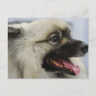 Carte Postale Personnaliser