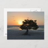 Carte Postale Personnaliser (Devant / Derrière)