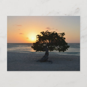 Carte Postale Personnaliser