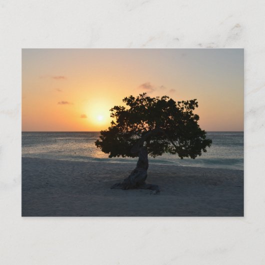 Carte Postale Personnaliser (Devant)