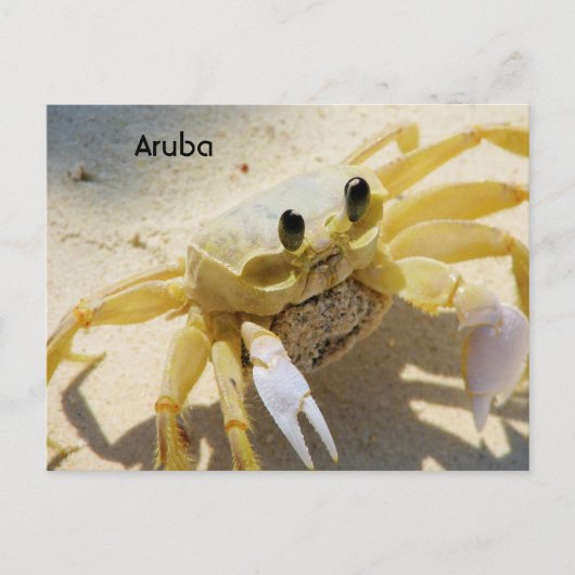 Carte Postale Personnaliser (Devant)