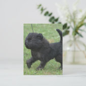 Carte Postale Personnaliser (Debout devant)