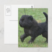 Carte Postale Personnaliser (Devant / Derrière)