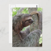 Carte Postale Personnaliser (Devant / Derrière)