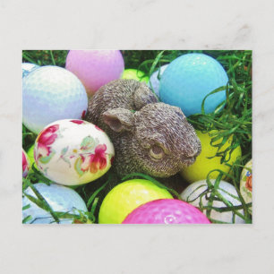 Carte Postale Personnaliser