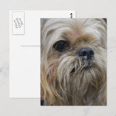 Carte Postale Personnaliser (Devant / Derrière)