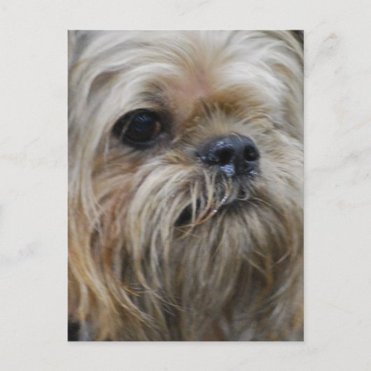 Carte Postale Personnaliser (Devant)