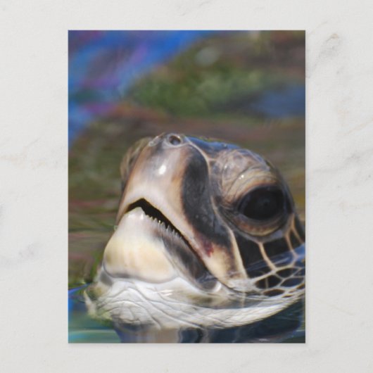 Carte Postale Personnaliser (Devant)
