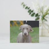 Carte Postale Personnaliser (Debout devant)