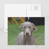 Carte Postale Personnaliser (Devant / Derrière)