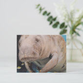 Carte Postale Personnaliser (Debout devant)