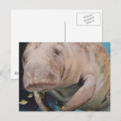 Carte Postale Personnaliser (Devant / Derrière)