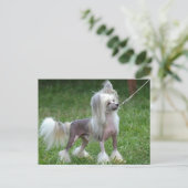 Carte Postale Personnaliser (Debout devant)