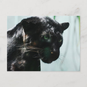 Carte Postale Personnaliser
