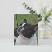 Carte Postale Personnaliser (Debout devant)