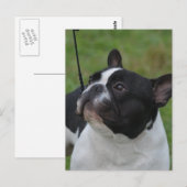 Carte Postale Personnaliser (Devant / Derrière)