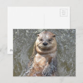 Carte Postale Personnaliser (Devant / Derrière)