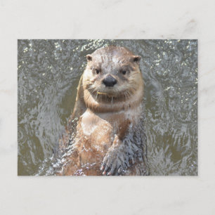 Carte Postale Personnaliser