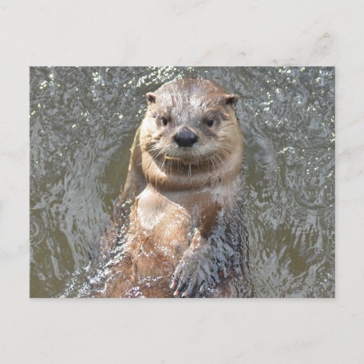 Carte Postale Personnaliser (Devant)