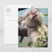 Carte Postale Personnaliser (Devant / Derrière)