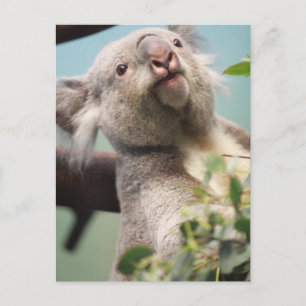Carte Postale Personnaliser