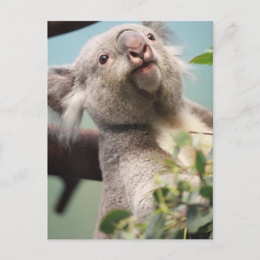 Carte Postale Personnaliser (Devant)