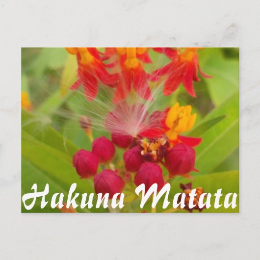 Carte Postale Personnaliser (Devant)