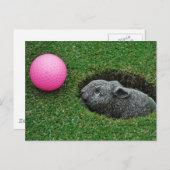 Carte Postale Personnaliser (Devant / Derrière)