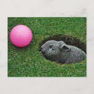 Carte Postale Personnaliser