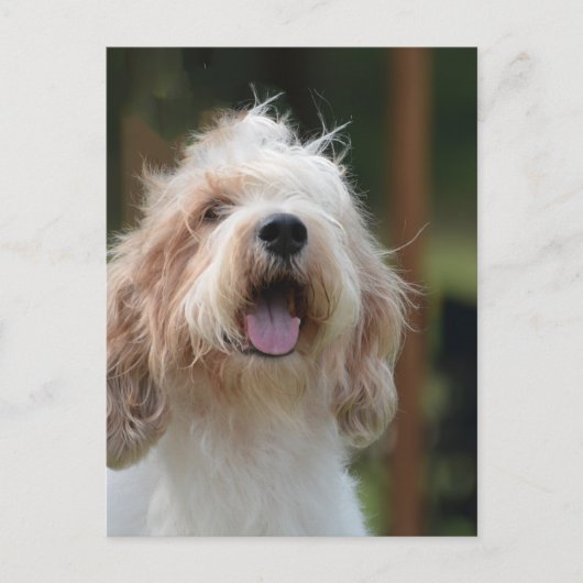 Carte Postale Personnaliser (Devant)