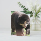 Carte Postale Personnaliser (Debout devant)