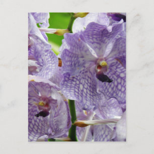 Carte Postale Personnaliser
