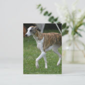 Carte Postale Personnaliser (Debout devant)