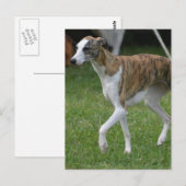 Carte Postale Personnaliser (Devant / Derrière)