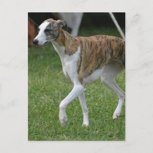 Carte Postale Personnaliser (Devant)