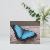 Carte Postale Personnaliser (Debout devant)