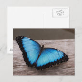 Carte Postale Personnaliser (Devant / Derrière)