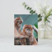 Carte Postale Personnaliser (Debout devant)