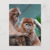 Carte Postale Personnaliser (Devant)