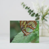 Carte Postale Personnaliser (Debout devant)