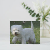 Carte Postale Personnaliser (Debout devant)