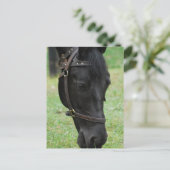 Carte Postale Personnaliser (Debout devant)