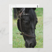 Carte Postale Personnaliser (Devant / Derrière)