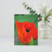 Carte Postale Personnaliser (Debout devant)
