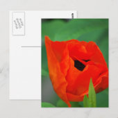 Carte Postale Personnaliser (Devant / Derrière)